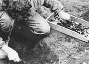 ���� ������� ��������<br>(��-����).