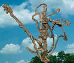 �. ��������. ����� ��������� ���� �����. 2006. ������ ��������, ������. ������������� ������