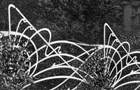 ���� ���� ���������