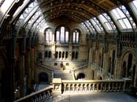 The Natural History Museum
