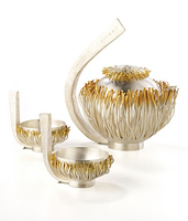 ������ � ������� ������ �������. ������ ���� ��������. ������������ �������, ����������, ���������