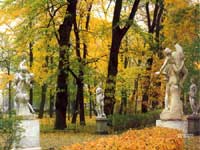 ���������� � ������ ����